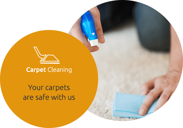Commercial carpet cleaning in Aventura, FL